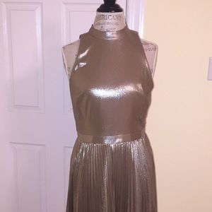 Ann Taylor Metallic Dress